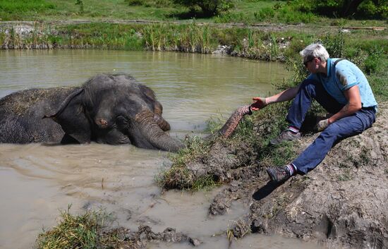 Russia  Elephants Sanatorium
