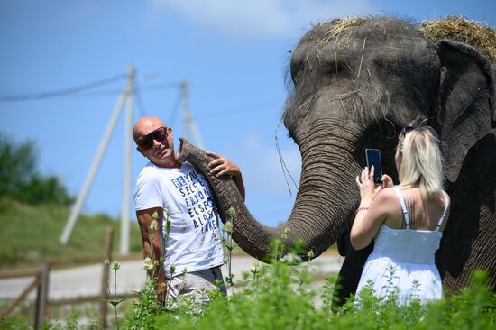 Russia  Elephants Sanatorium