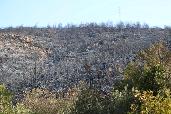 Turkey Wildfires