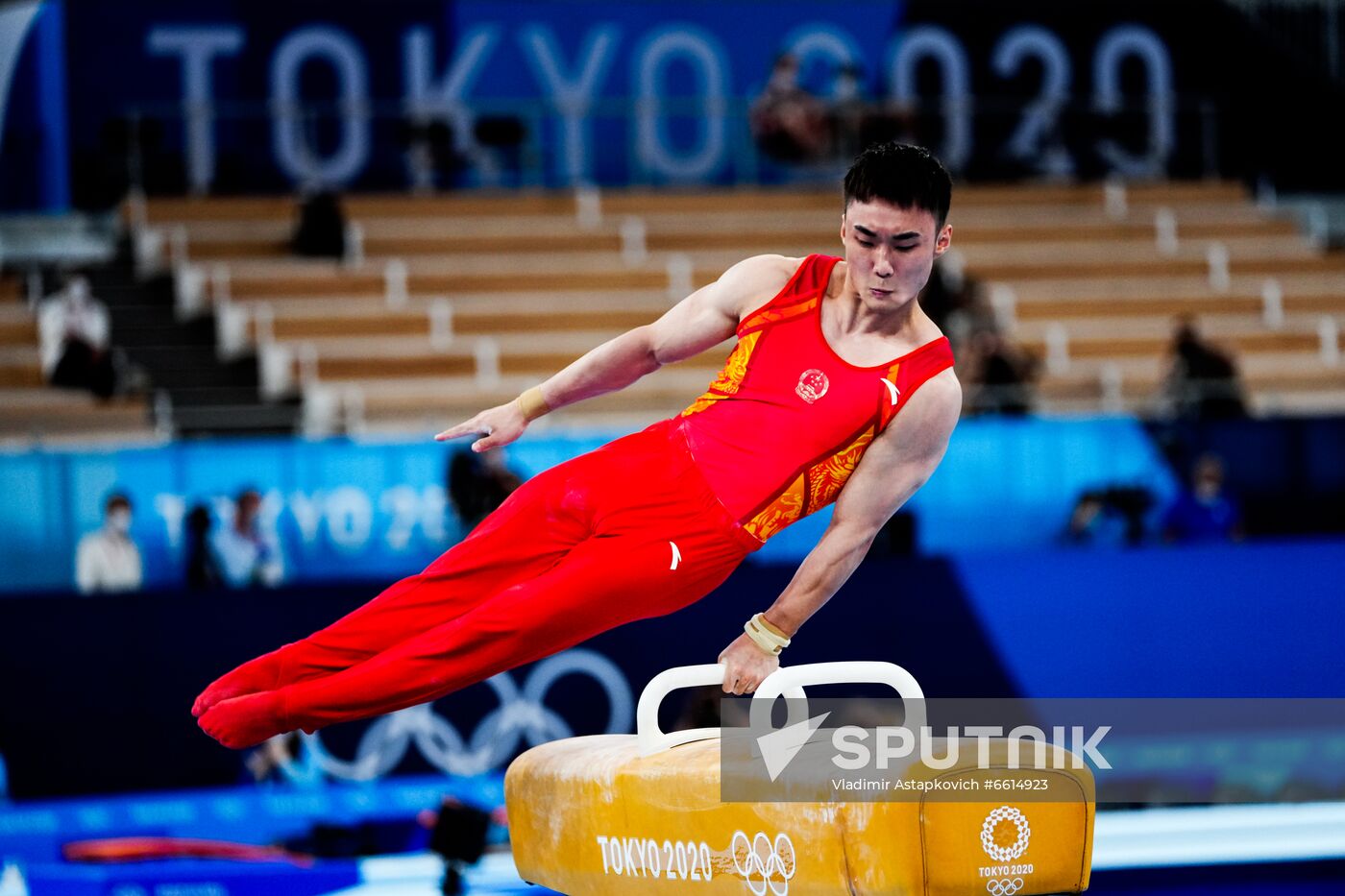 Japan Olympics 2020 Artistic Gymnastics Men Pommel Horse
