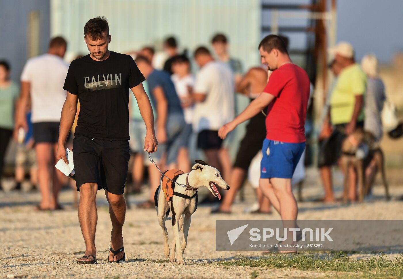 Russia Lure Coursing