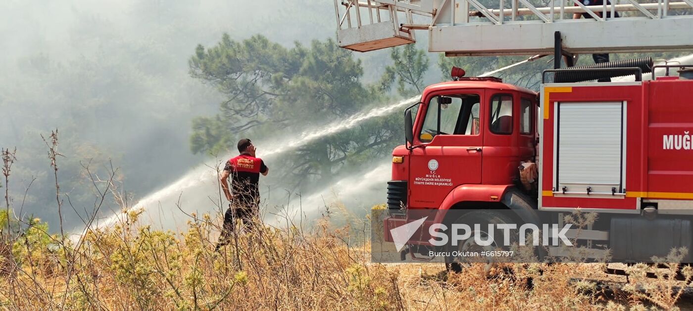 Turkey Wildfires