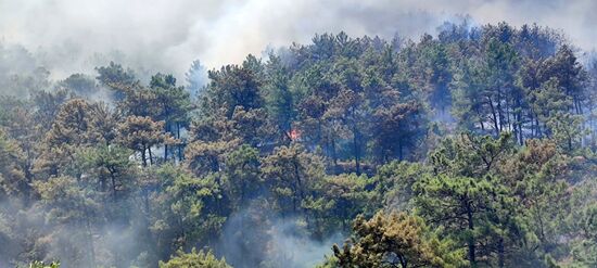 Turkey Wildfires