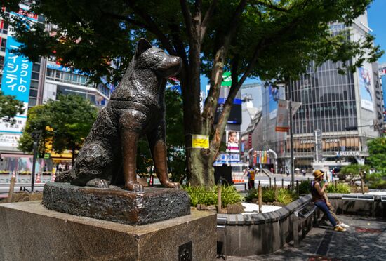 Japan Olympics 2020 Tokyo Cityscapes