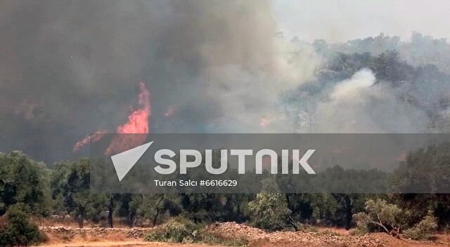 Turkey Wildfires