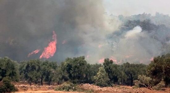 Turkey Wildfires