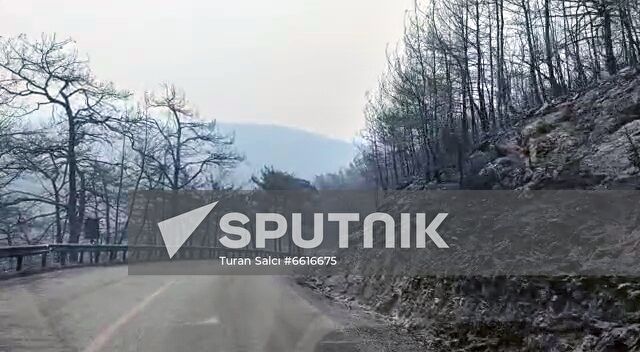 Turkey Wildfires