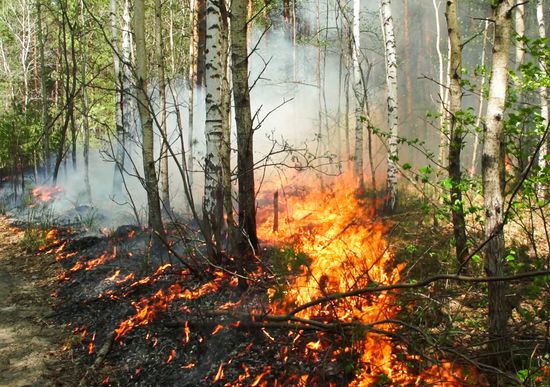 Russia Wildfires