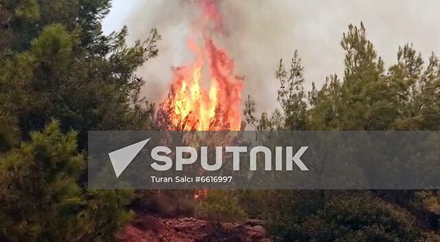 Turkey Wildfires