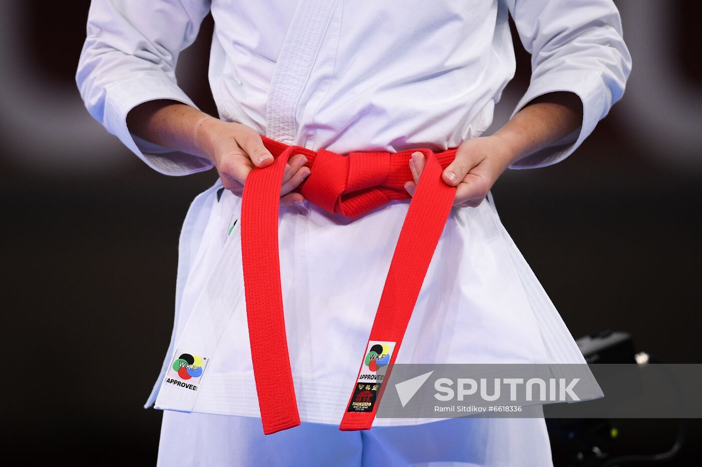 Japan Olympics 2020 Karate