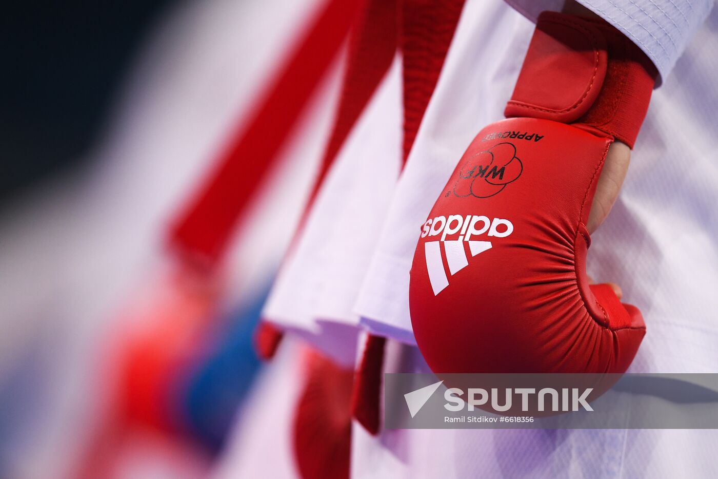 Japan Olympics 2020 Karate