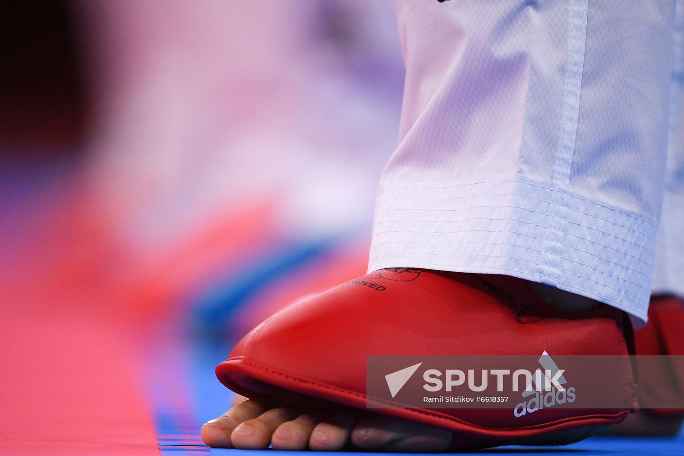 Japan Olympics 2020 Karate