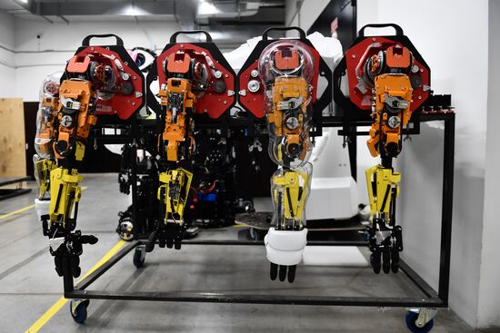 Russia Robots Manufacturing