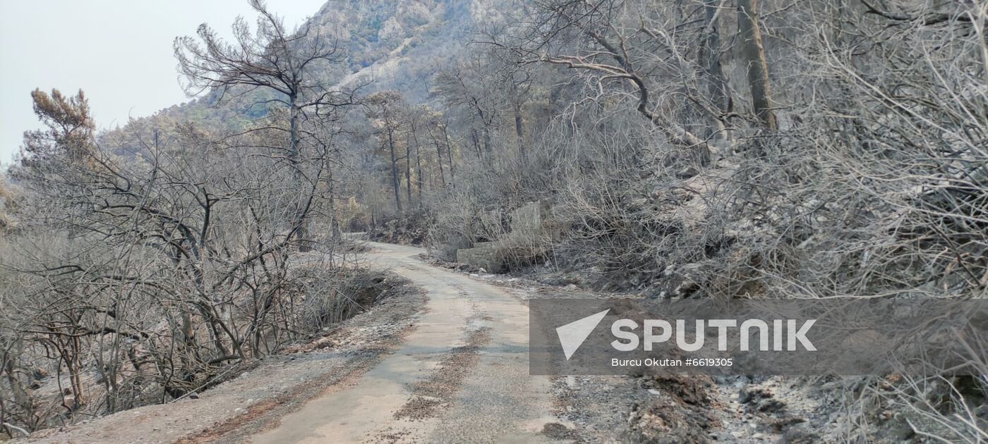 Turkey Wildfires