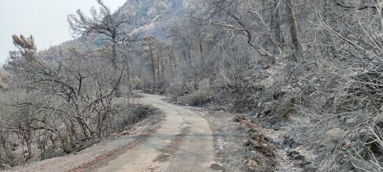 Turkey Wildfires