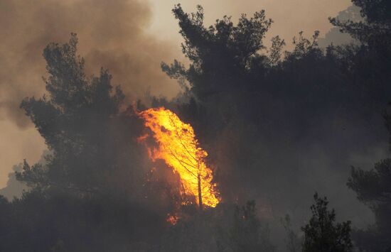 Turkey Wildfires