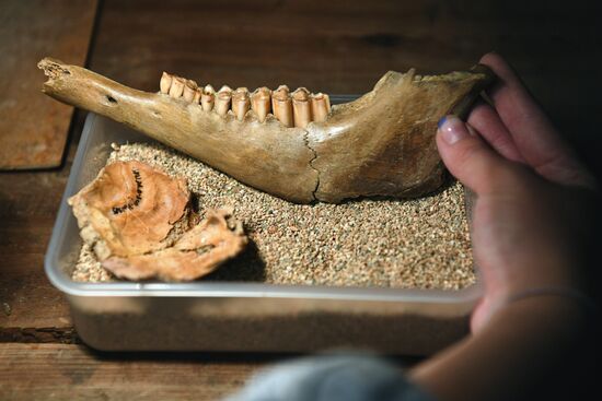 Russia Denosova Primeval Cave