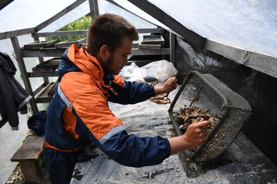 Russia Denosova Primeval Cave