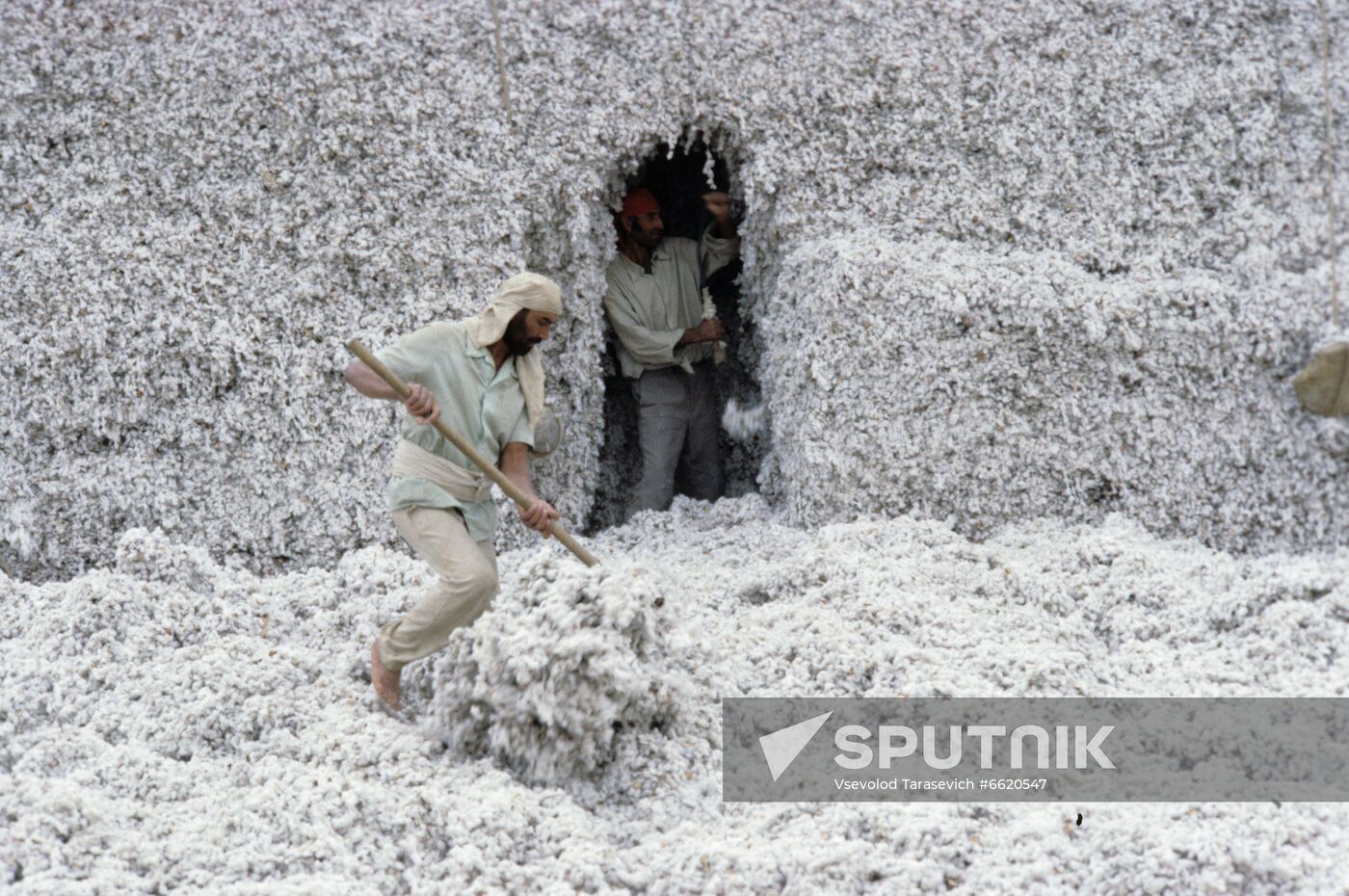 Vladimir Lenin cotton collective farm