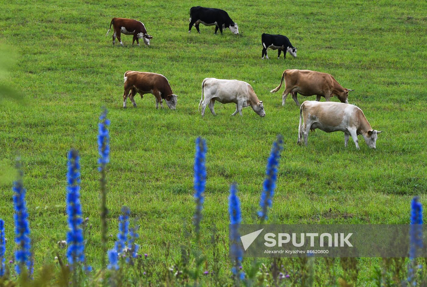 Russia Tourism