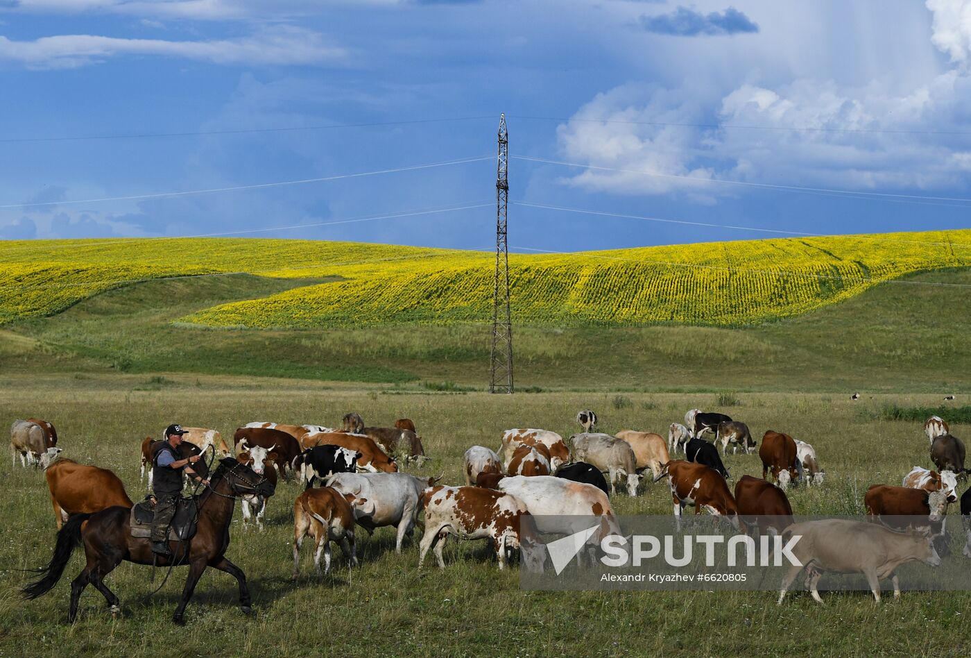 Russia Tourism