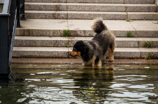 Russia Flood