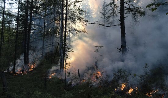 Russia Yakutia Sakha Wildfires