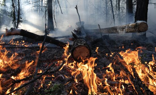 Russia Yakutia Sakha Wildfires