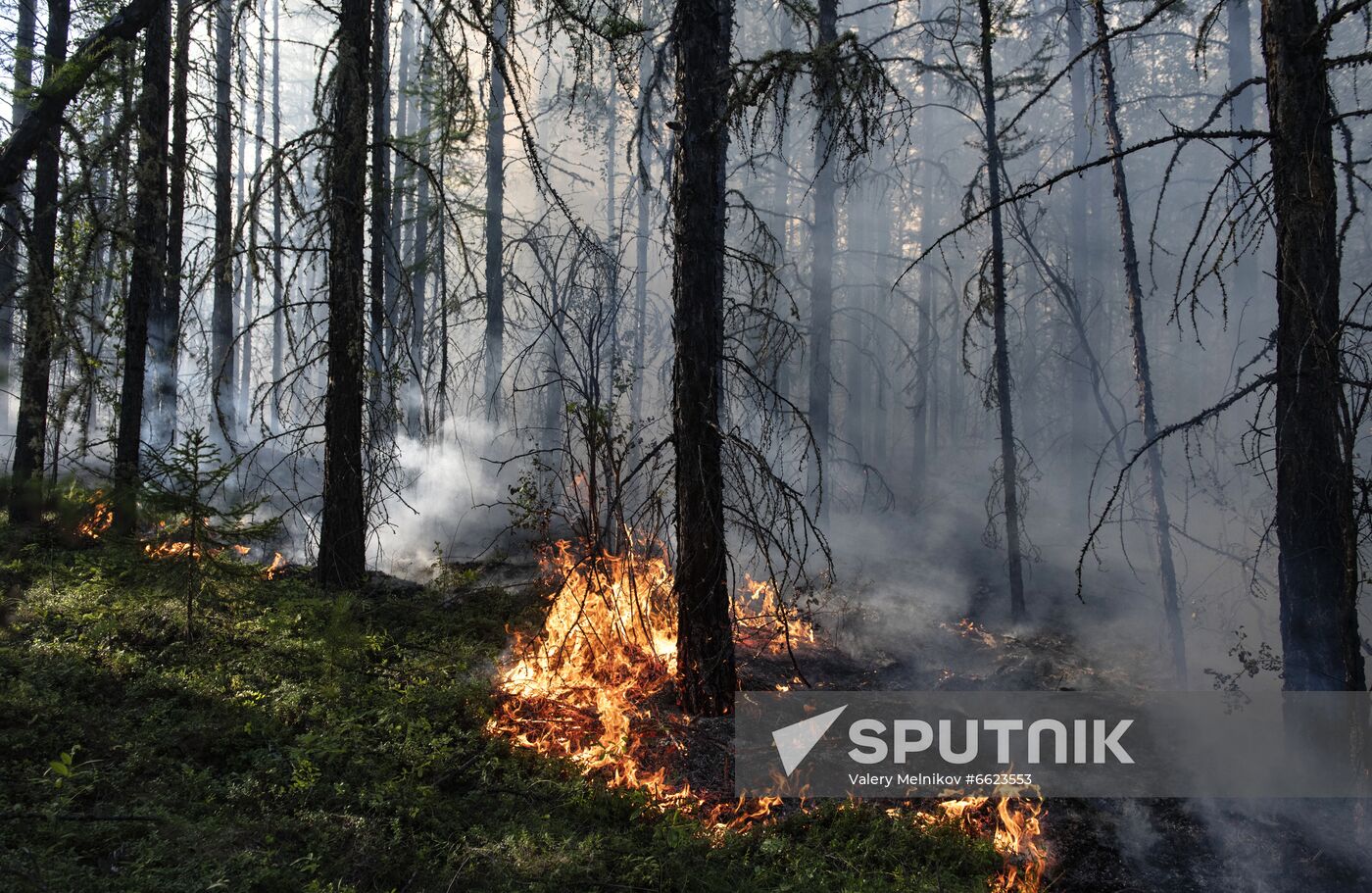 Russia Yakutia Sakha Wildfires