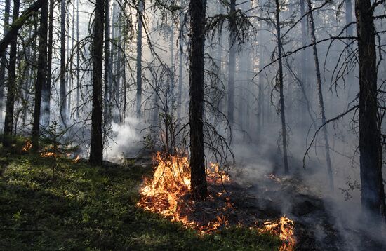 Russia Yakutia Sakha Wildfires