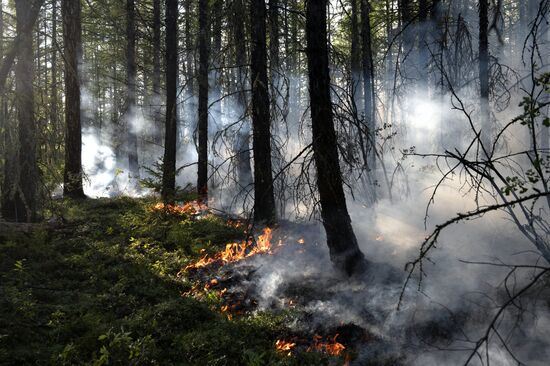 Russia Yakutia Sakha Wildfires