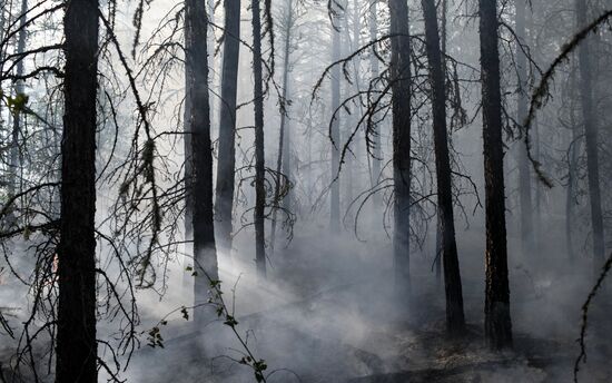 Russia Yakutia Sakha Wildfires