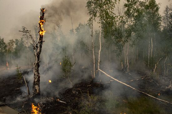 Russia Yakutia Sakha Wildfires