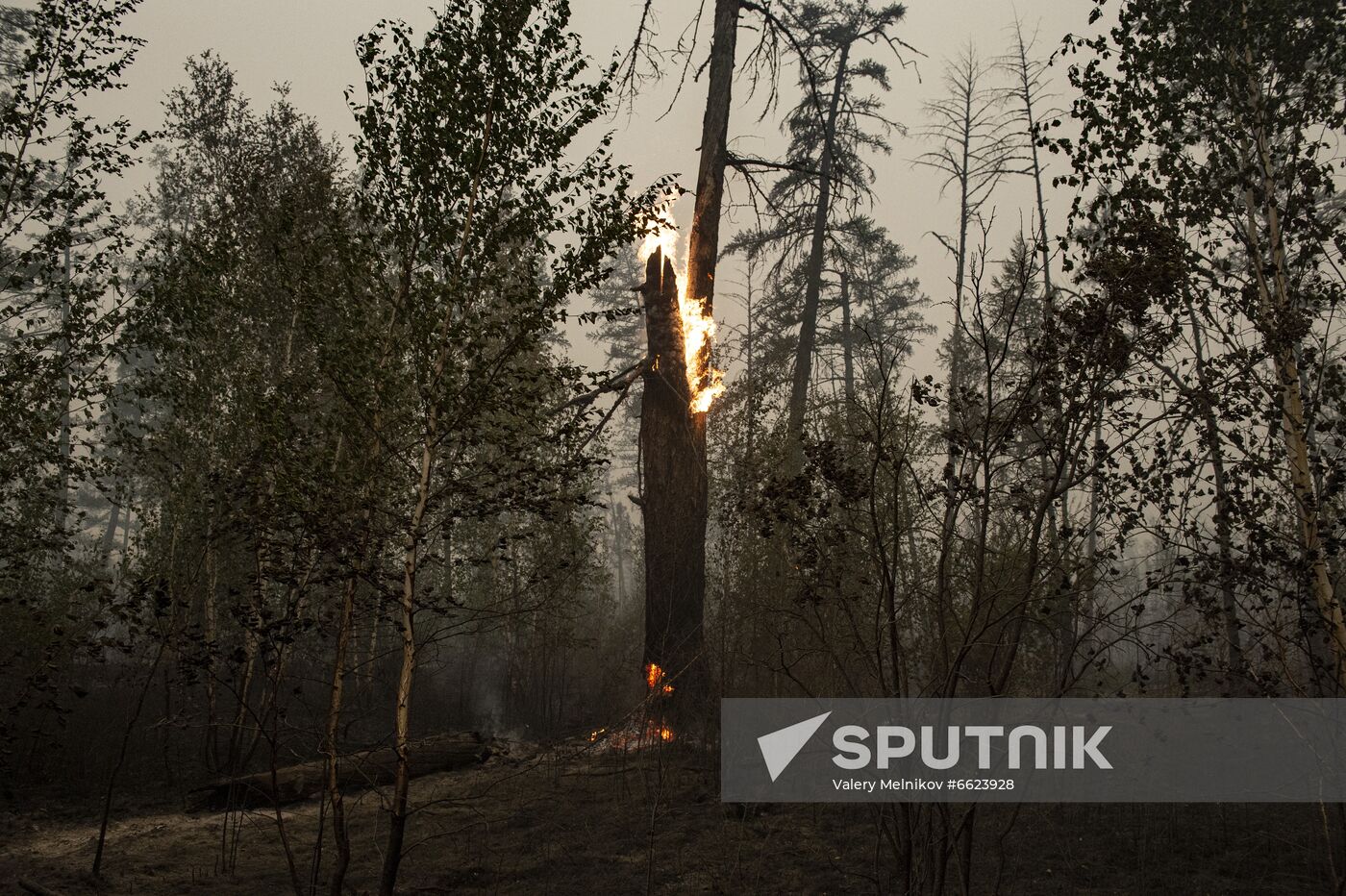 Russia Yakutia Sakha Wildfires