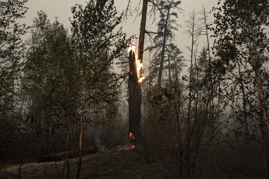 Russia Yakutia Sakha Wildfires