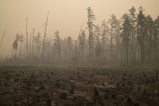 Russia Yakutia Sakha Wildfires