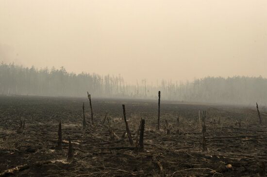 Russia Yakutia Sakha Wildfires