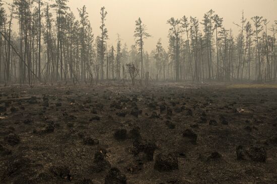 Russia Yakutia Sakha Wildfires