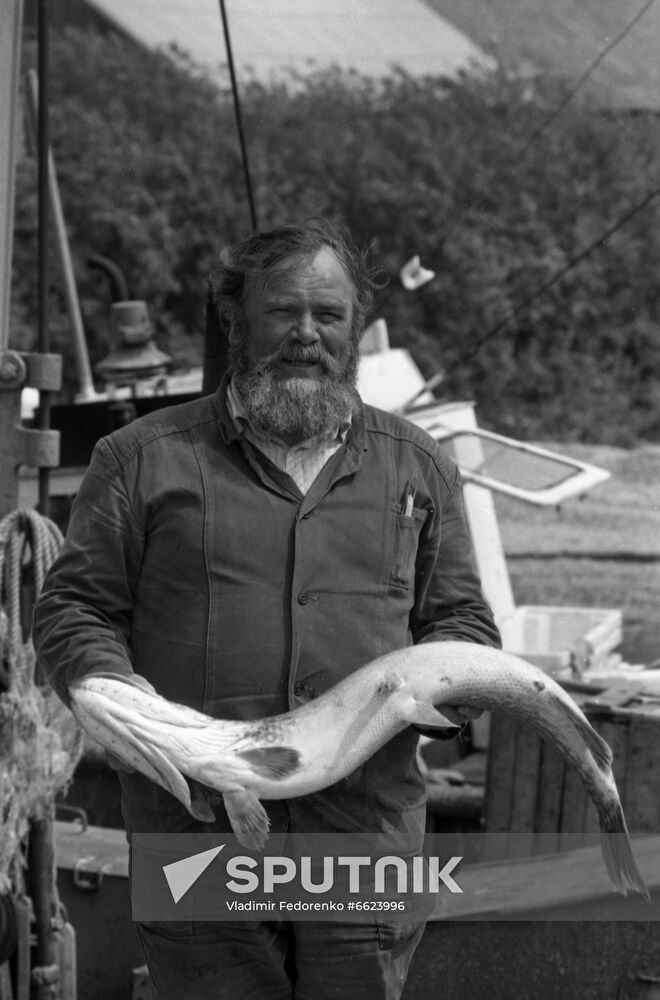 Toiler of Sea Fishing Cooperative