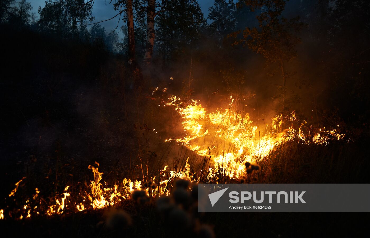 Russia Wildfires