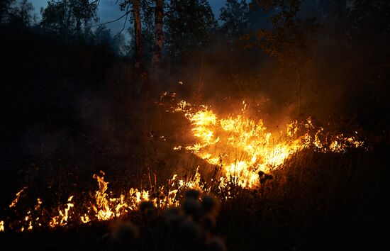 Russia Wildfires