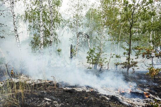 Russia Wildfires
