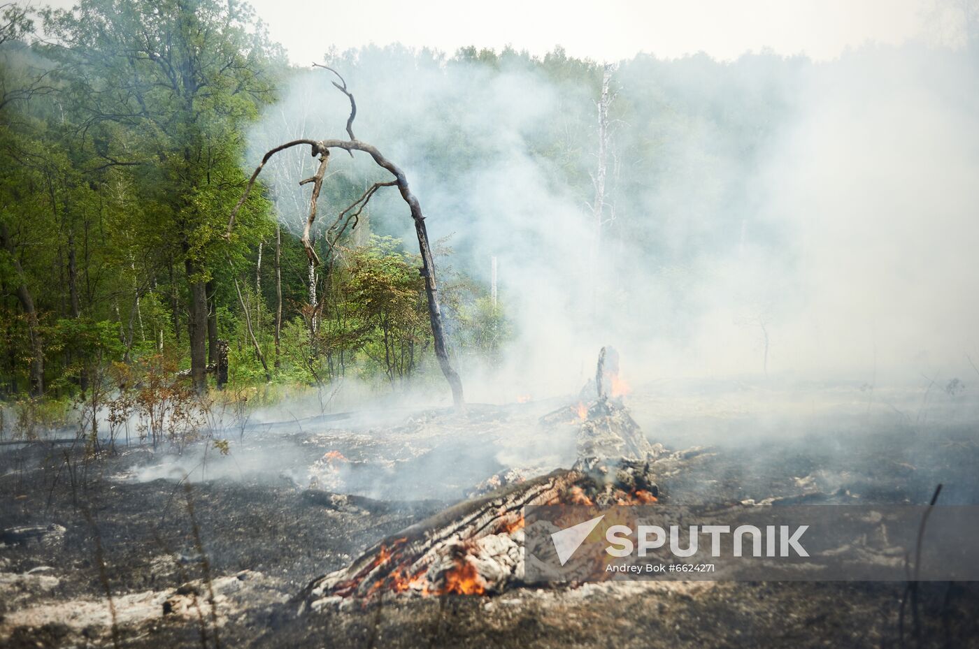 Russia Wildfires
