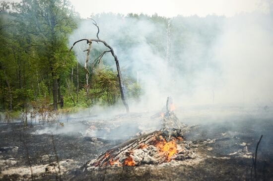 Russia Wildfires