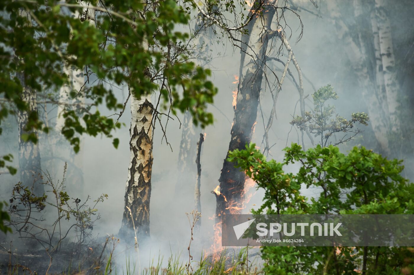 Russia Wildfires