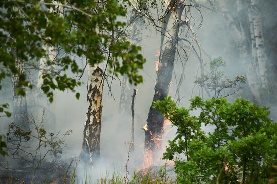 Russia Wildfires