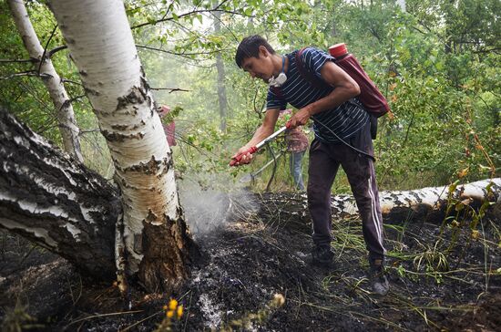 Russia Wildfires
