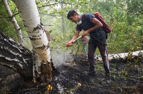 Russia Wildfires