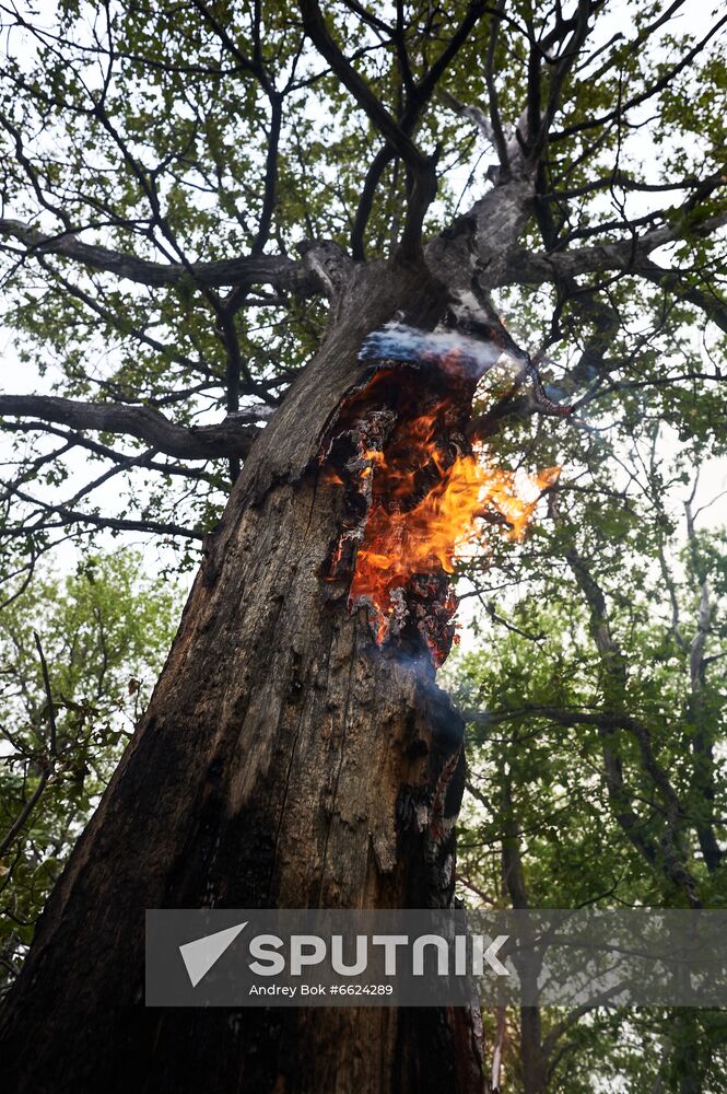 Russia Wildfires
