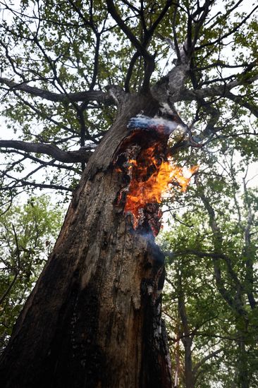 Russia Wildfires